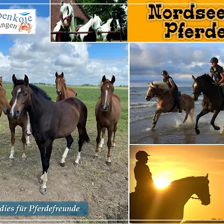 Krabbenkoje - Nordseeurlaub In Hochwertiger Mit Grossem Balkon Im Idyllischen Apartamento *