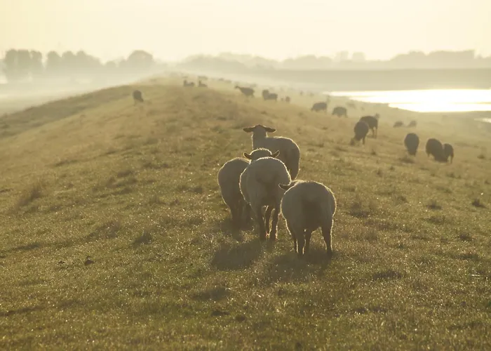 Διαμέρισμα Krabbenkoje - Nordseeurlaub In Hochwertiger Mit Grossem Balkon Im Idyllischen *